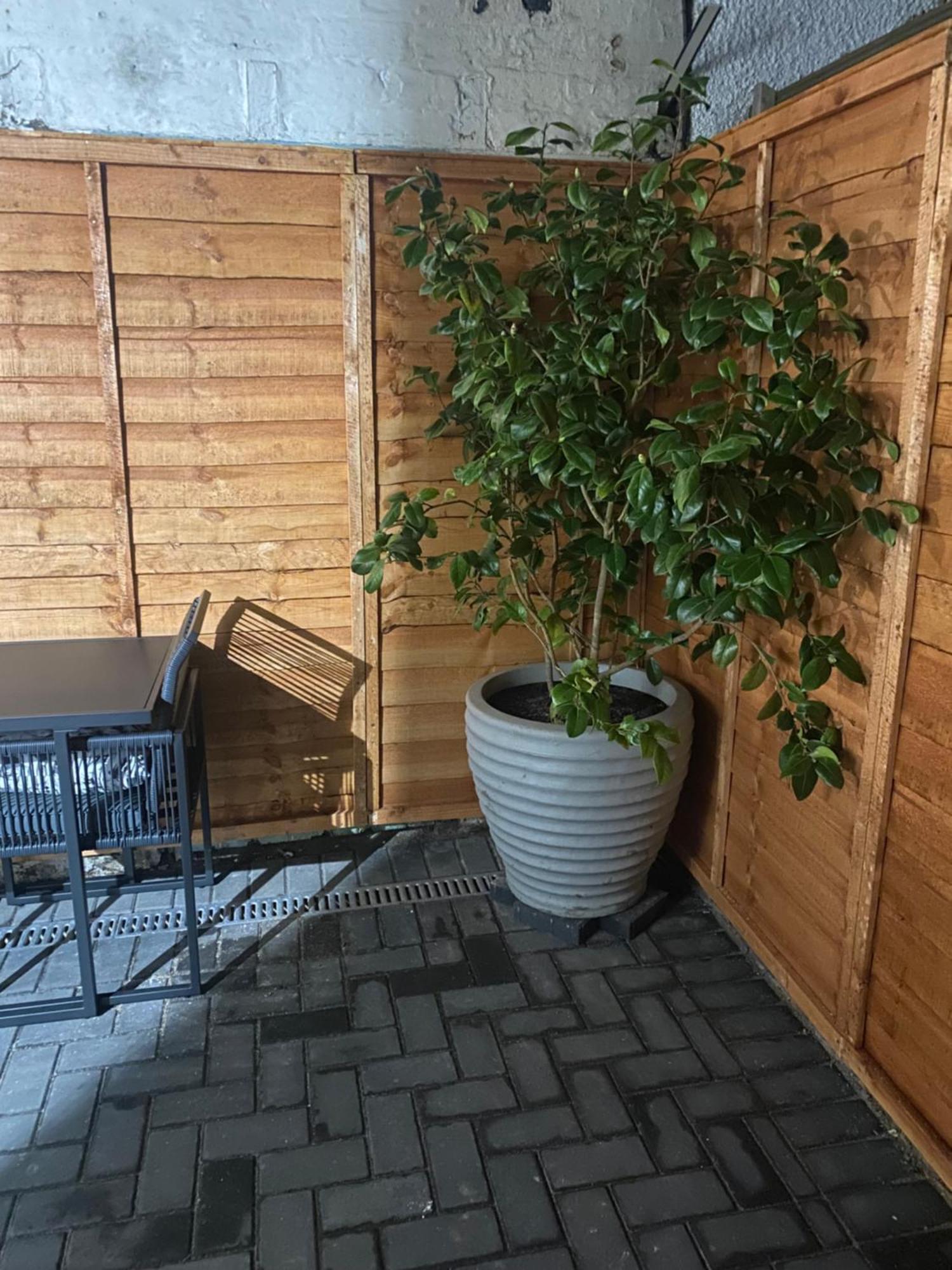 The Terrace Apartment Saint Monance Luaran gambar